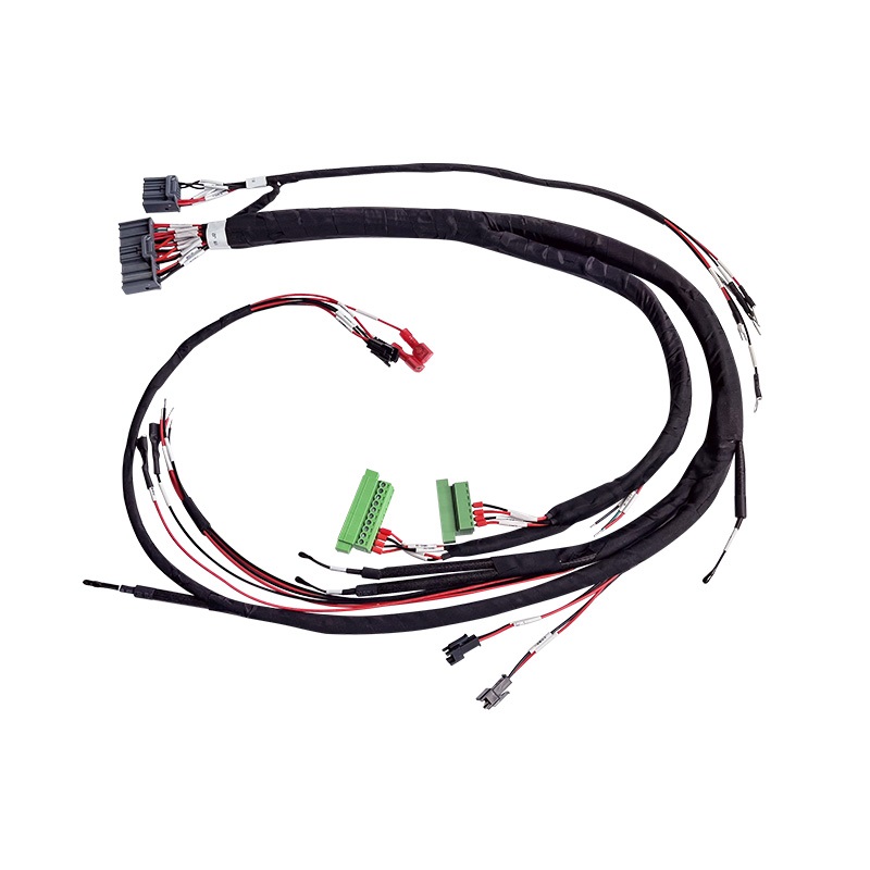 BMS Wiring Harness